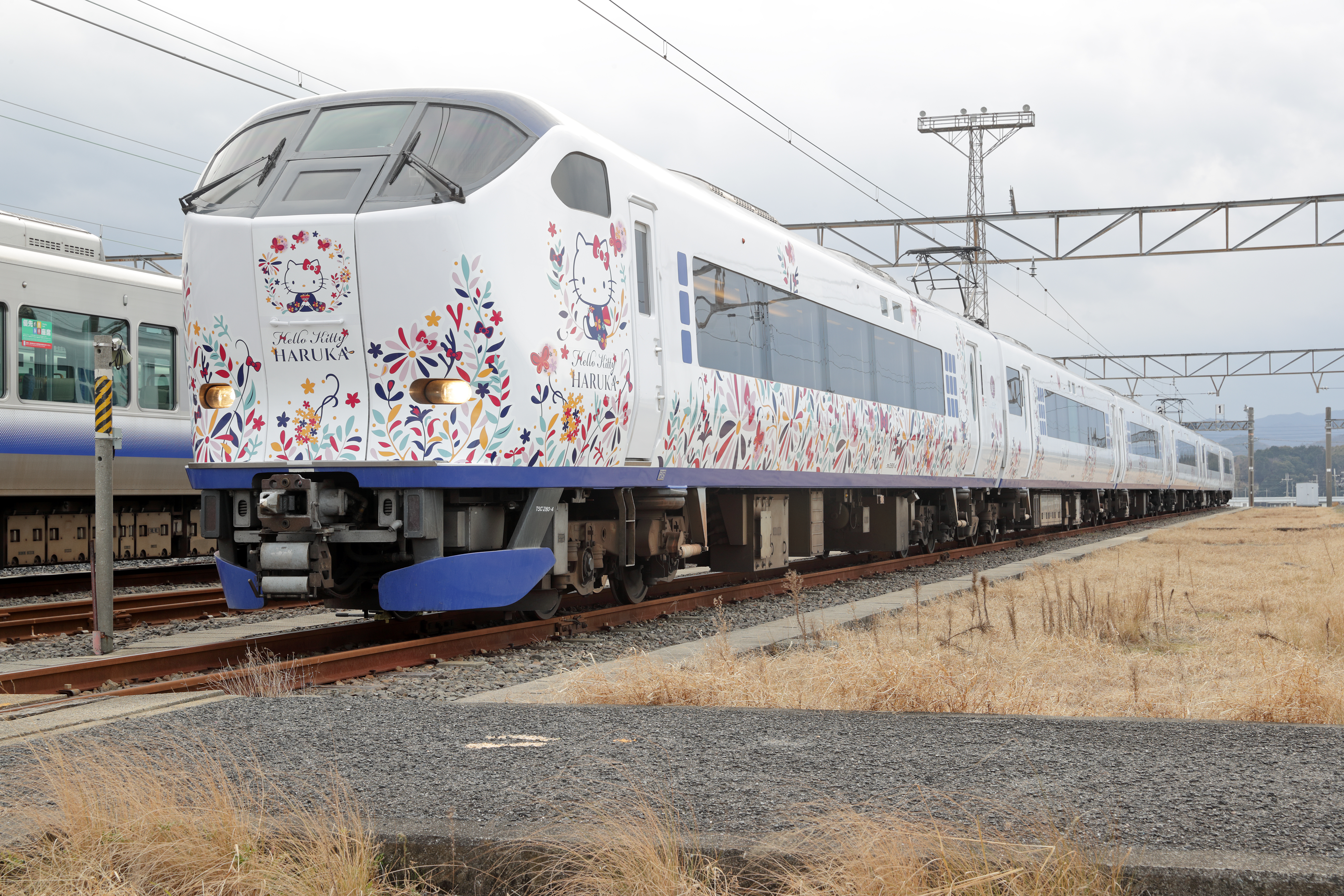 [오사카] 간사이공항 특급 WEST QR 하루카티켓(일반) 편도 (간사이공항↔교토)