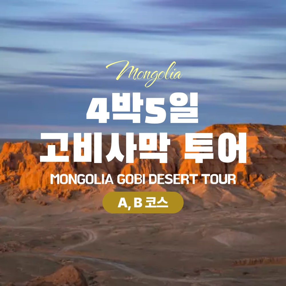 [몽골]4박5일 고비사막 투어