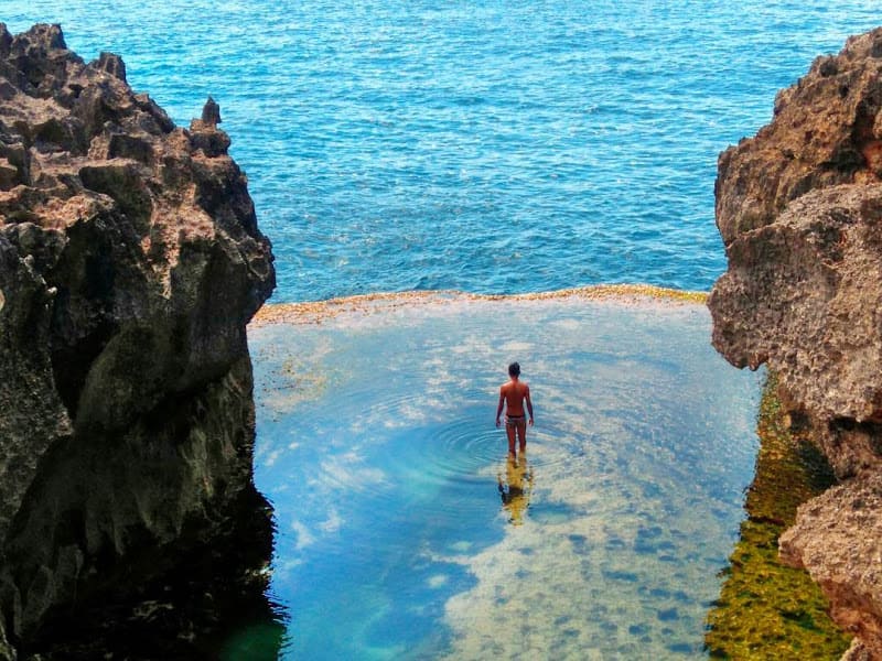 [발리] 누사페니다 만크가제 (4스팟) 스노클링 투어