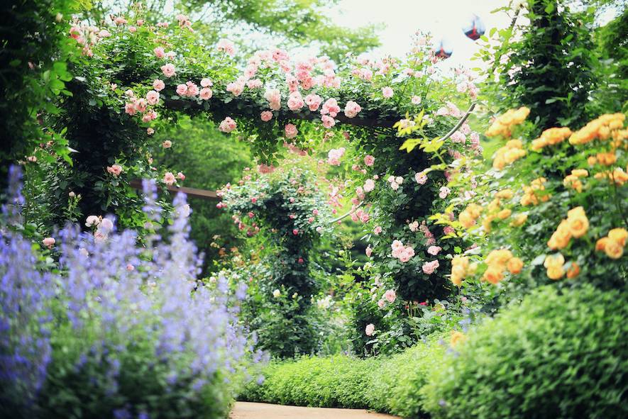 [고베] 고베 누노비키 허브가든 로프웨이 입장권