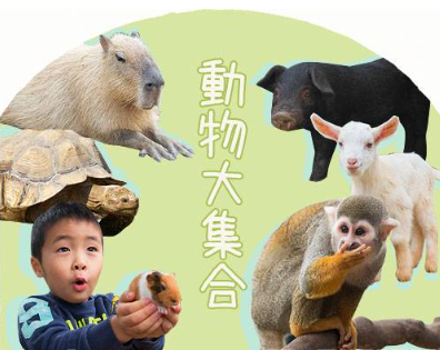 [오키나와] 오키나와 동남식물낙원 입장권