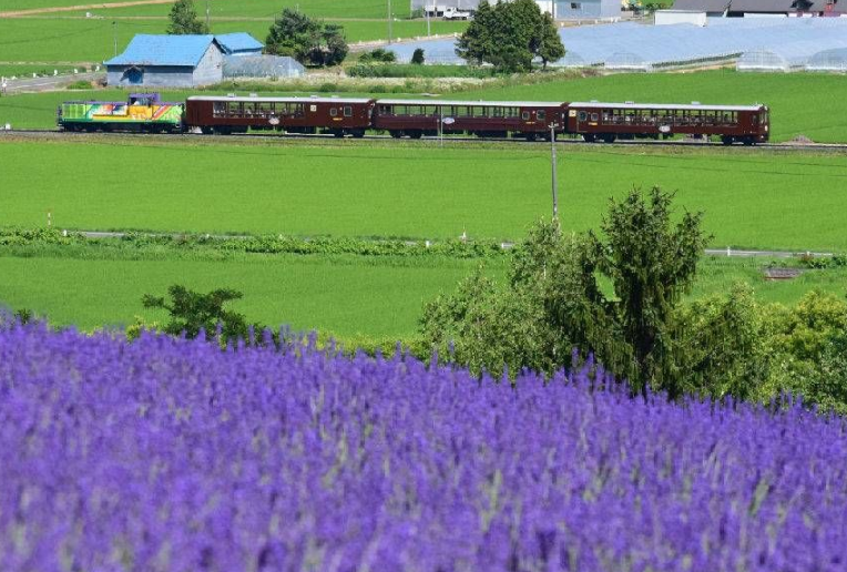  [홋카이도] 삿포로-노보리베쓰 에리어 4일권