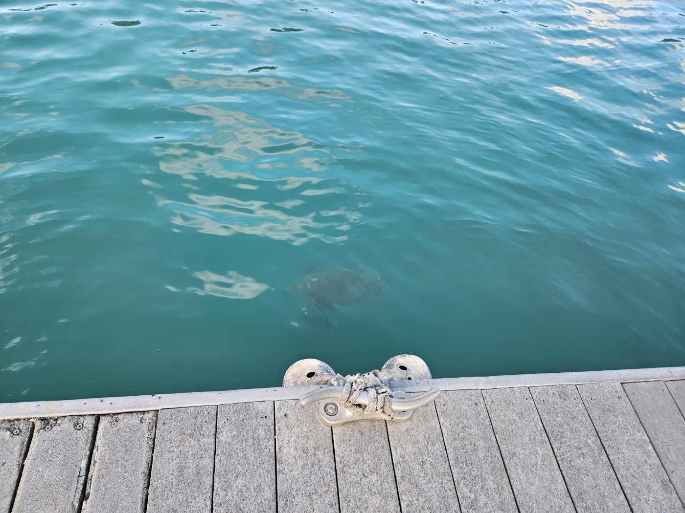 [사이판] 후기좋은 마나가하섬 해양스포츠 (페러세일링/바나나보트) + 호핑투어