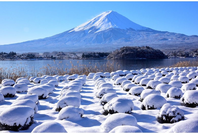 [도쿄] 후지산 하코네 및 미술관 코스